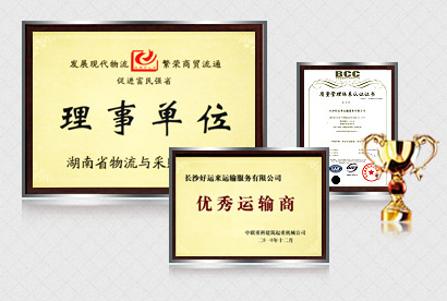 褐燕供應鏈的服務 褐燕供應鏈的服務